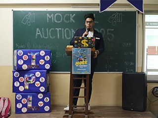 mock ipl activity